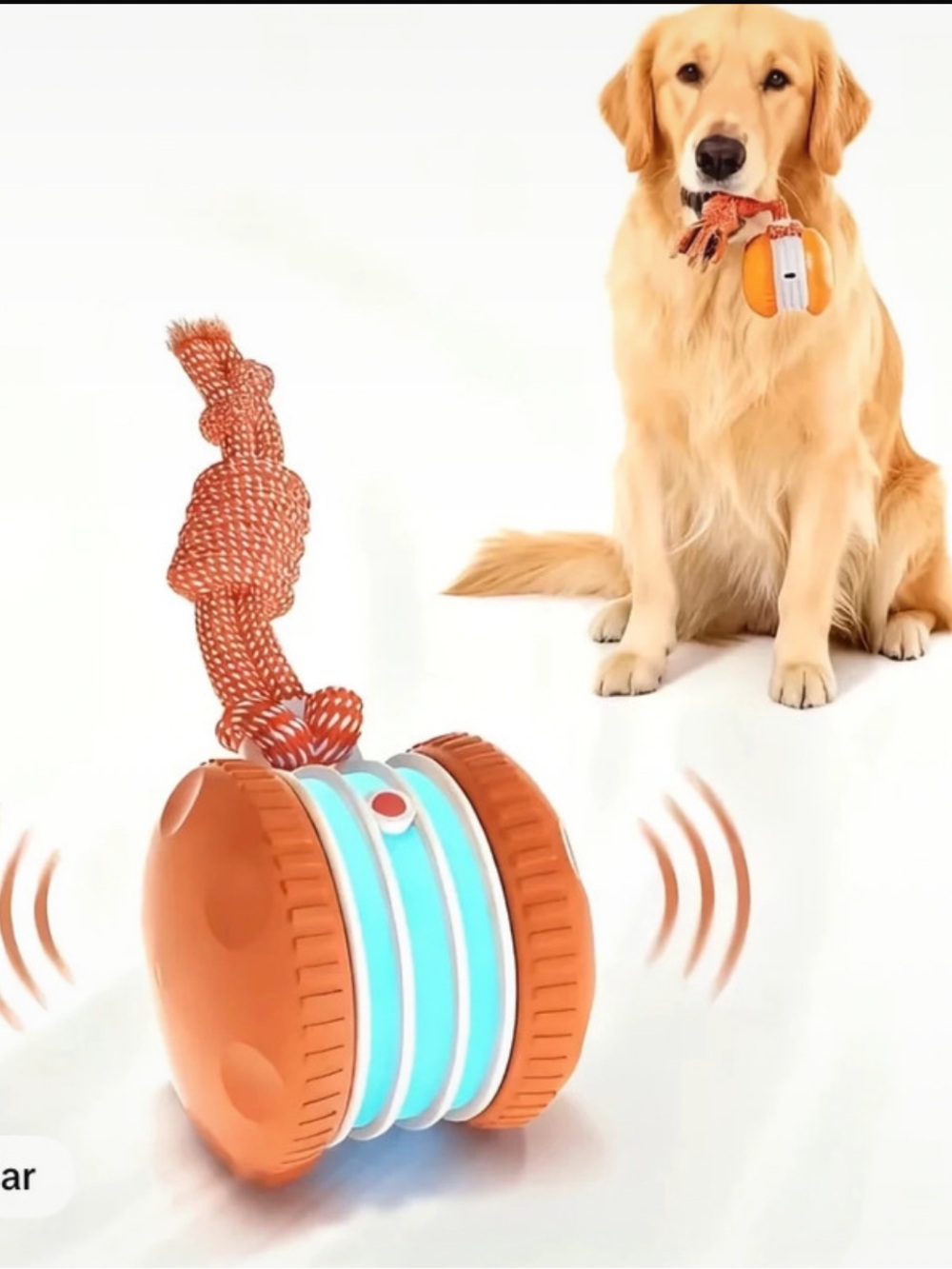 Chewy interactive dog ball